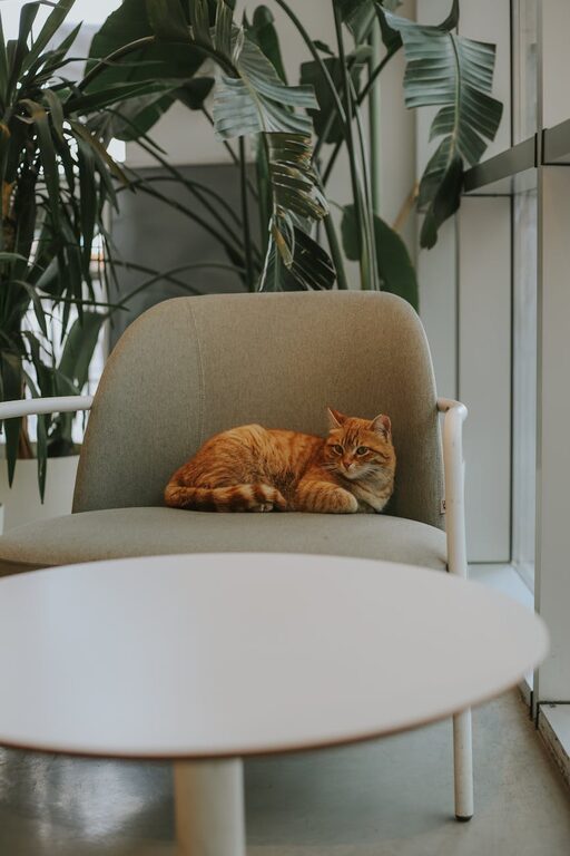 How to Create a Relaxing Home Workspace for Better Focus